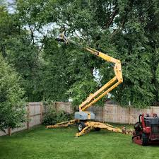 Best Fruit Tree Pruning  in Halfway House, PA