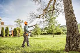 Best Utility Line Clearance  in Halfway House, PA